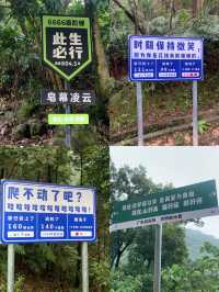 廣州周邊週末洗肺計劃佛山小武功山一日遊