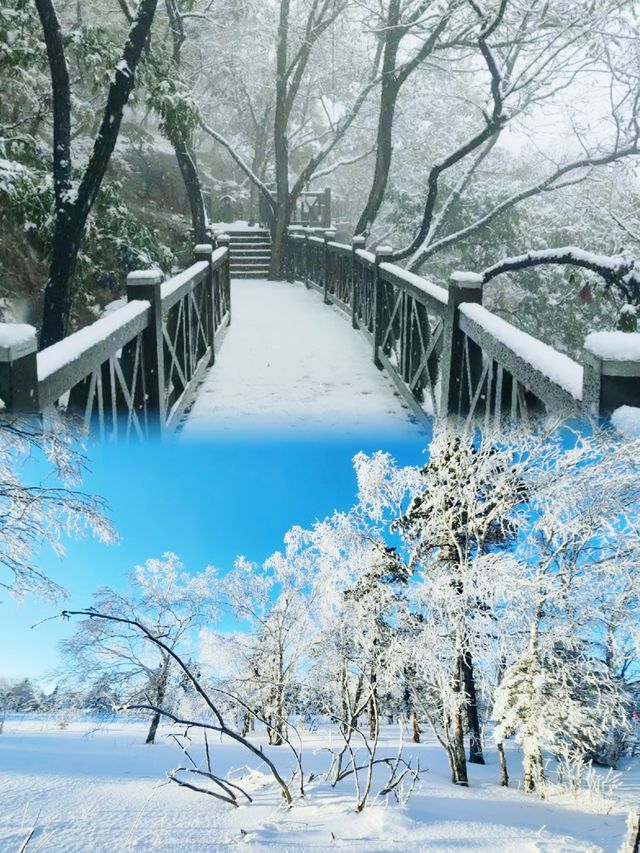 銀碗盛雪，共赴雪後鳳凰山