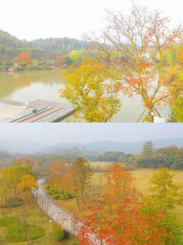 秋天是屬於南京的！牛首山秋景美得封神