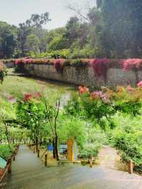 廣州樹木公園：地鐵直達的綠色秘境，探索原始森林之美