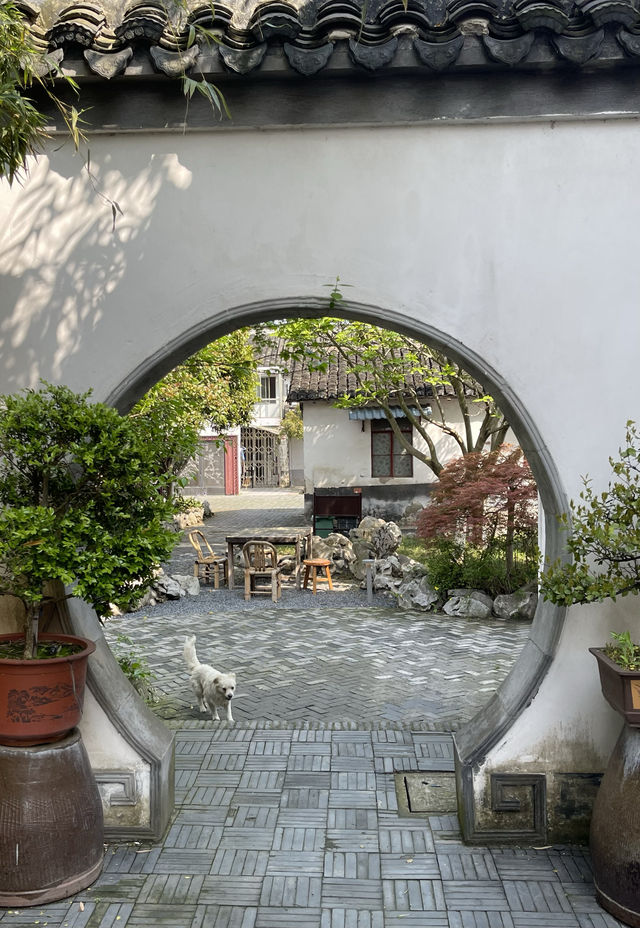 清新 安逸的歇馬橋村
