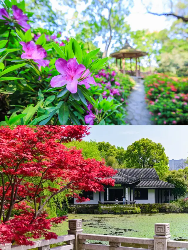 Huishan, the ancient town in Jiangnan most beloved by Emperor Qianlong, is in its prime for flower appreciation in spring