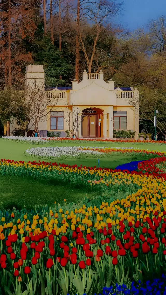 誤入莫內花園·太子灣