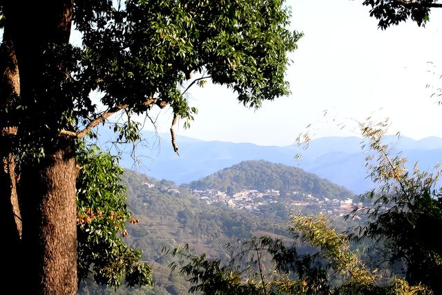 滇南景迈山，布朗族山村芒景寨