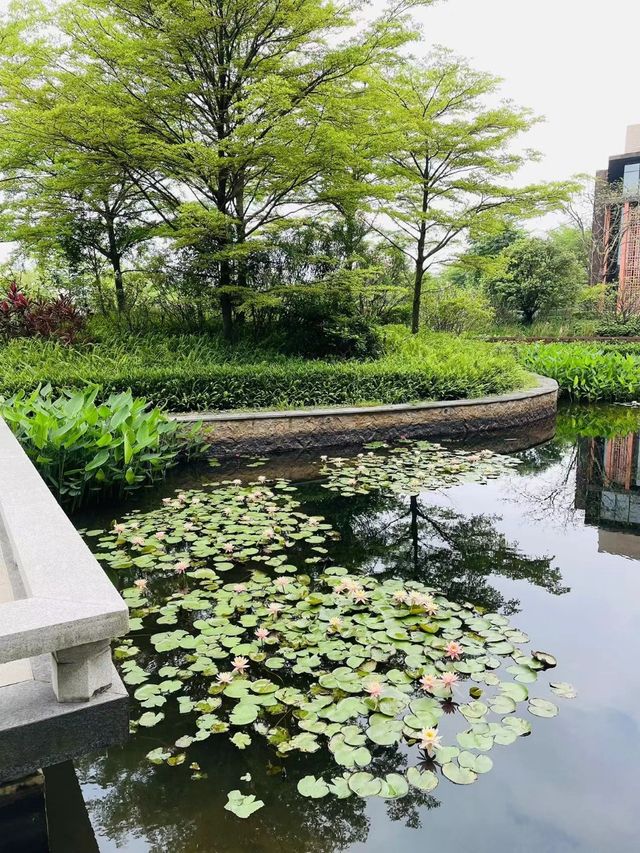 周末開車1h直達廣佛港澳後花園