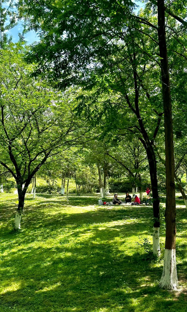 成都公園