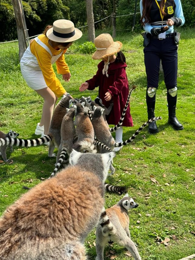 野生動物園