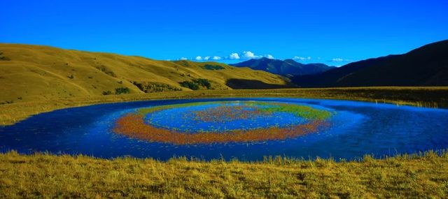 春夏觀賞花海，秋冬欣賞彩林