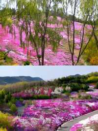 在大連，有一處宛如仙境的地方——英歌石植物園