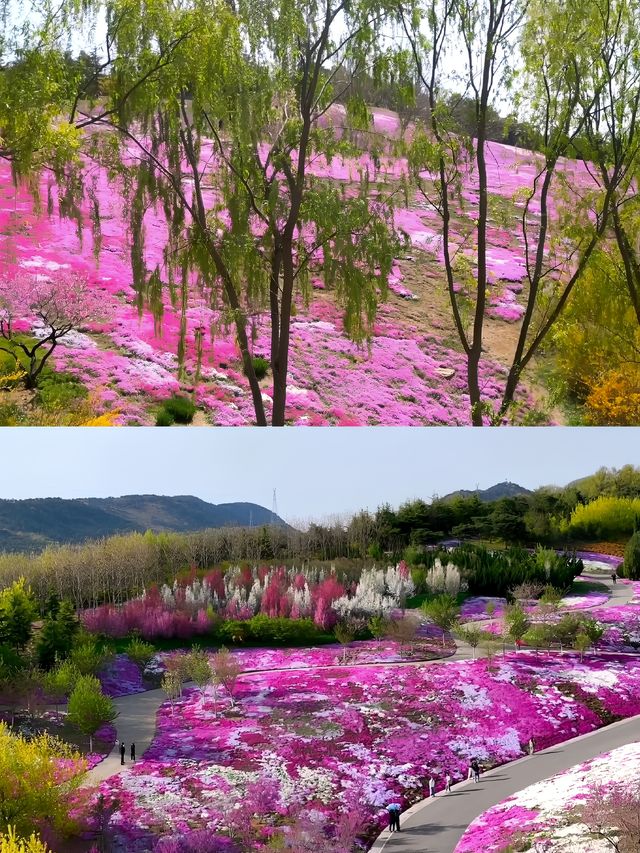 在大連，有一處宛如仙境的地方——英歌石植物園