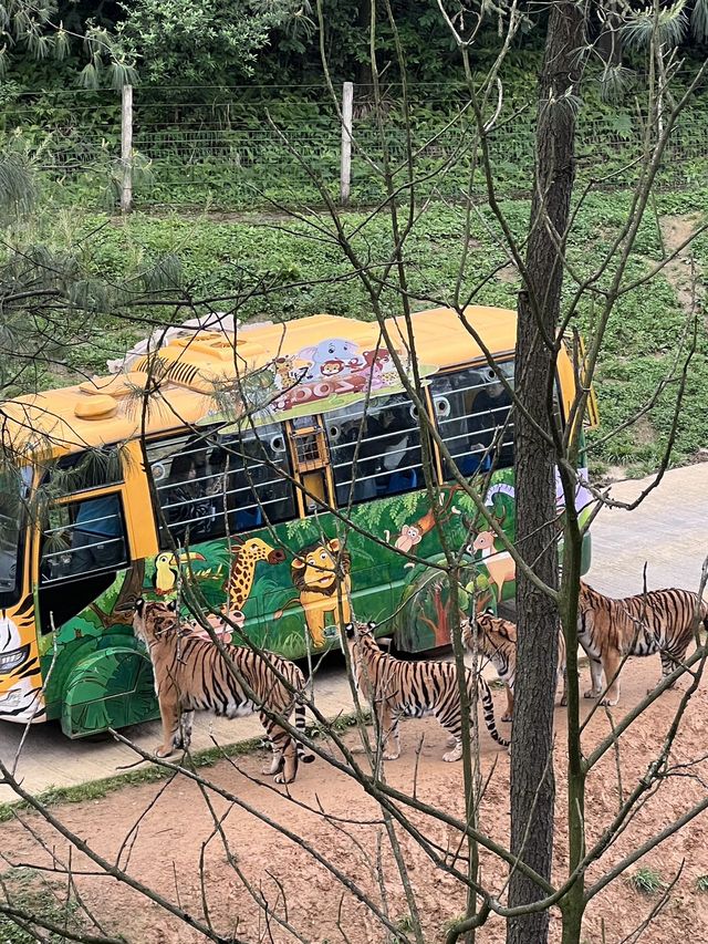 貴陽森林野生動物園一日遊