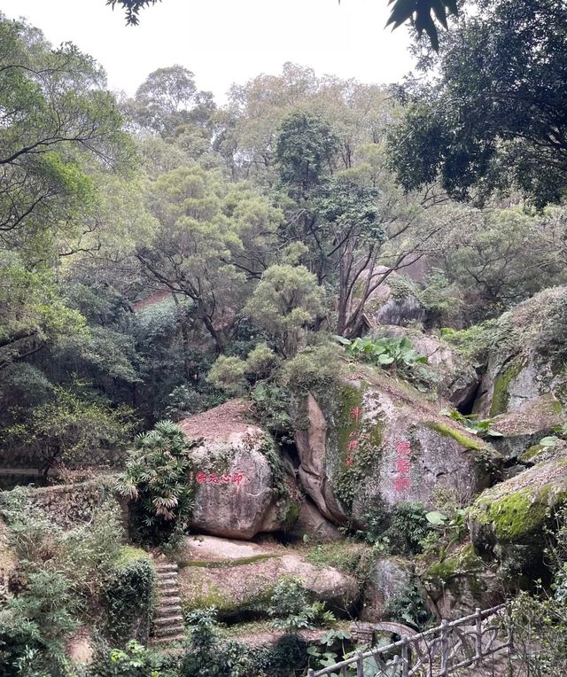 青芝山風景真是太美了，遺憾才知道！