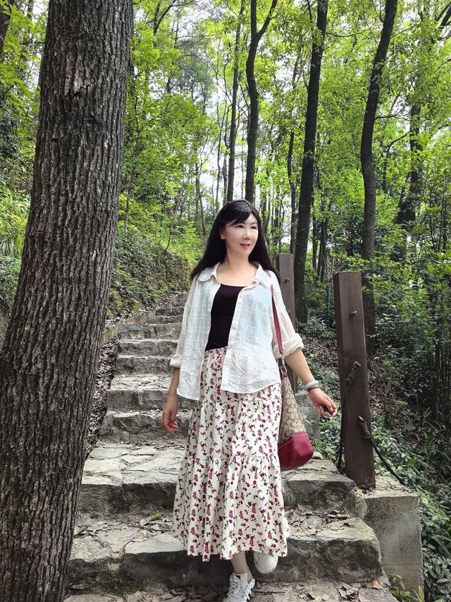 必須告訴你寶藏徒步路線龍脊山，尽享林木之美、山巒之秀！