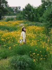 騎行尋寶！成都玉石濕地公園，邂逅超大規模花海