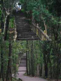 龍泉山裡一個人都可去的登山步道