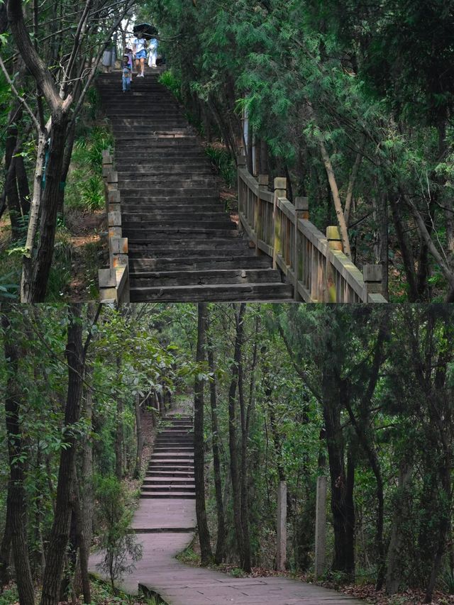 龍泉山裡一個人都可去的登山步道