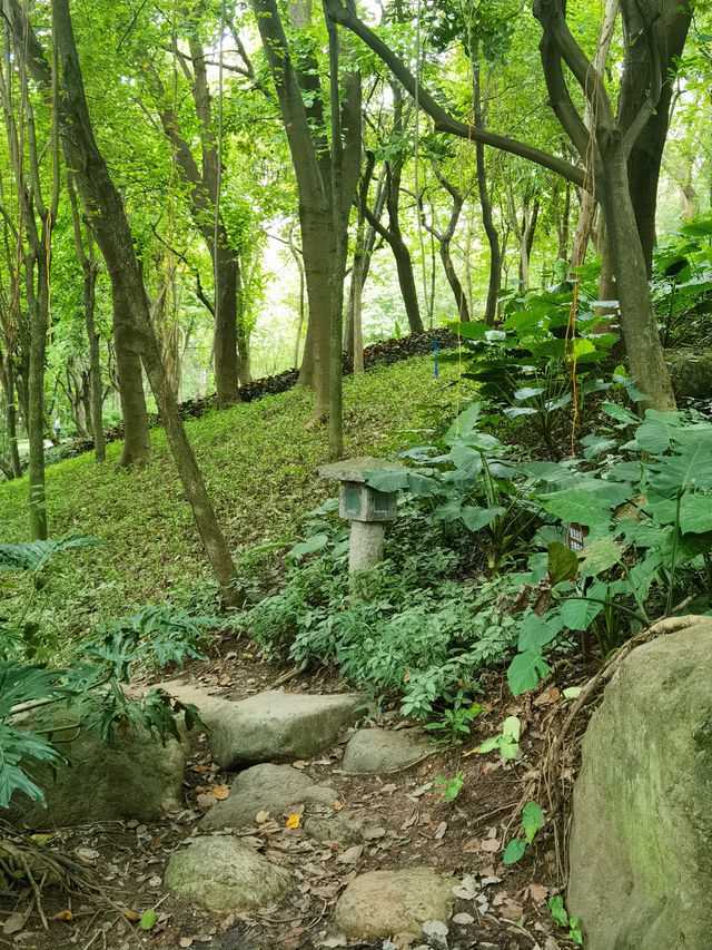 發現廣州隱藏版寶藏城市綠洲珠江公園