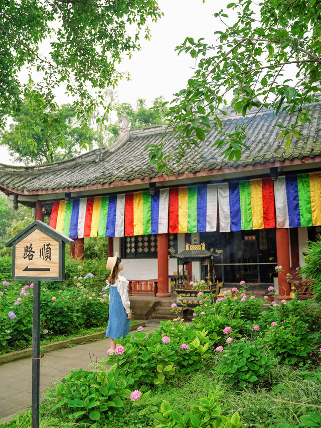 成都周邊開滿無盡夏的古寺，太美了！