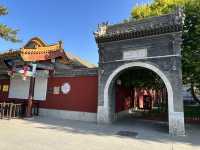 春回大召，陽光正好