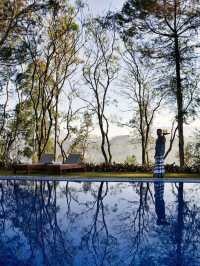 🌱🍵 Serenity in Sri Lanka: Ceylon Tea Trails Escape 🍵🌱