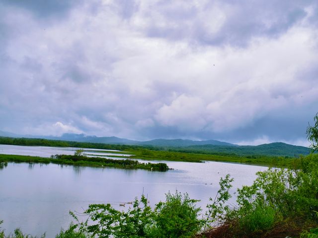 珍寶島森林公園