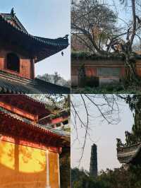 國清寺一日遊，吃喝玩樂詳細攻略