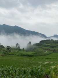 我住的酒店之張家界旅遊攻略