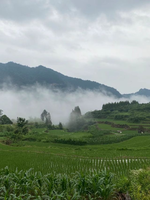 我住的酒店之張家界旅遊攻略 我住的酒店之張家界旅遊攻略
