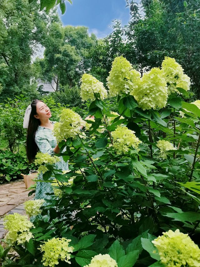 在成都！！鮮花織就的小徑