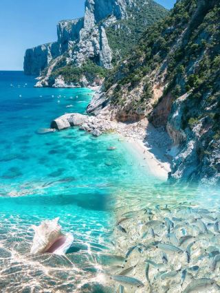 Comprehensive travel guide to Sardinia, Italy, the only jelly sea on Earth