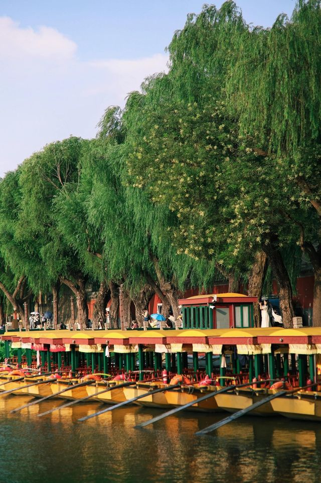 北京最強能量場——北海公園超全遊玩指南