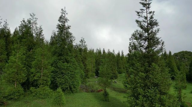 個舊蓮花山| 一場與自然的浪漫邂逅～