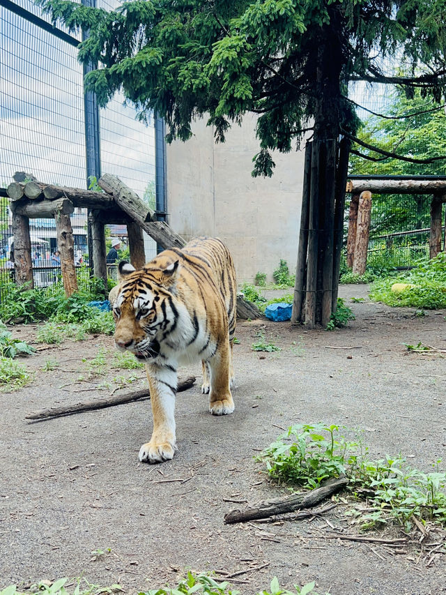 旭川動物園