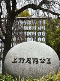 東京｜玩轉上野！必逛恩賜公園 ！
