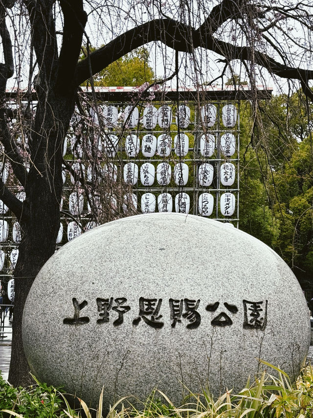 東京｜玩轉上野！必逛恩賜公園 ！