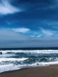 🌊 Sydney's Top Spots for Sun, Surf, and Scenic Views 🏖️