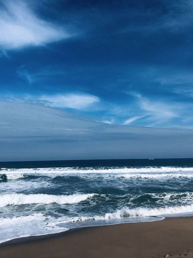 🌊 Sydney's Top Spots for Sun, Surf, and Scenic Views 🏖️