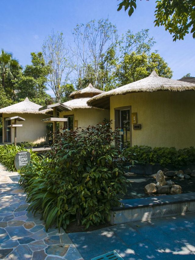 🌟 Fujian's Hot Springs Haven: Relax & Rejuvenate 🌿🔥