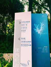 一面是湖，一面是塔，西麗湖環湖綠道美絕了！