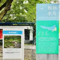 週末逛逛深圳梅林水庫✌️✌️