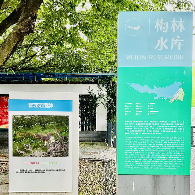 週末逛逛深圳梅林水庫✌️✌️