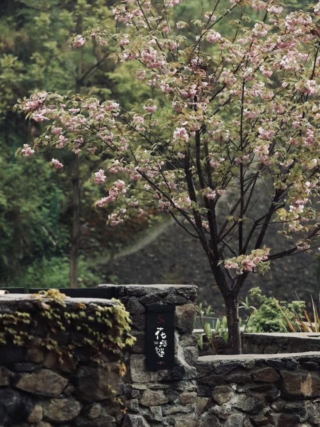 西安周邊民宿｜入住雲端小木屋。