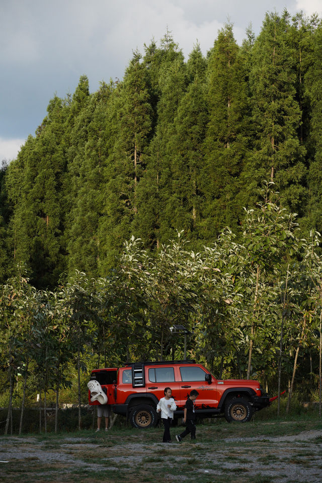 重慶主城2小時車程,我在這座山上感到非常寒冷。