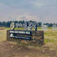 포토존이 가득한 제주도 서쪽 여행 성이시돌 목장🐴