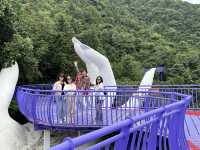桐君山與富春江遊輪之旅。