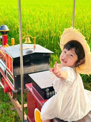 [Rice Paddy Art] Binyang Gulao, the idyllic poem of Nanning. 