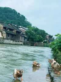 永州江永｜隱藏著一個千年歷史的古村落—上甘棠村。