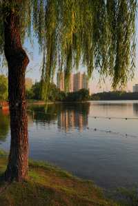不用去大理！去有風的寶藏公園看日落吧。