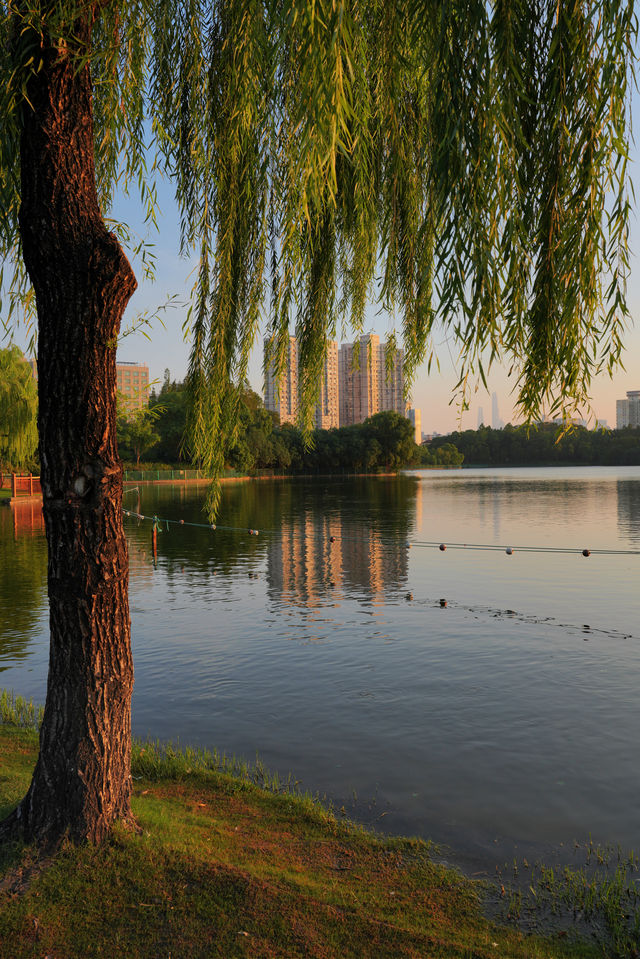 不用去大理！去有風的寶藏公園看日落吧。