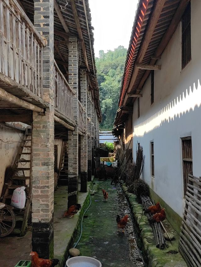 廣西平南石門古村。